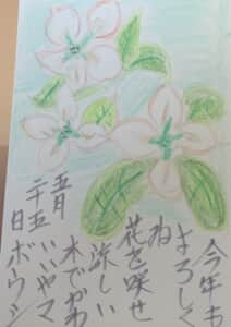 今年もよろしくね。花を咲かせ涼しい木で可愛い山法師