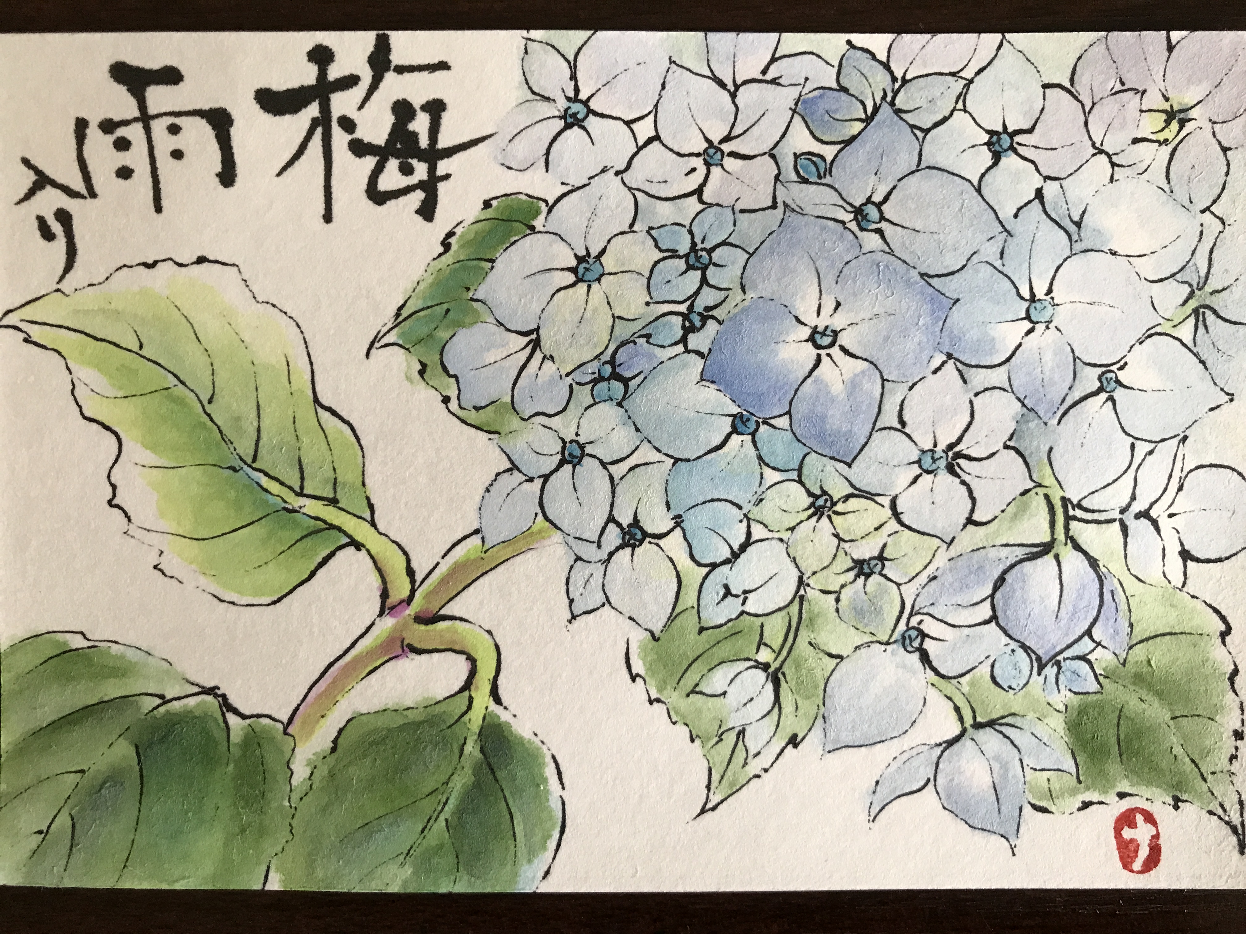 紫陽花