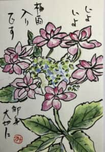 額紫陽花