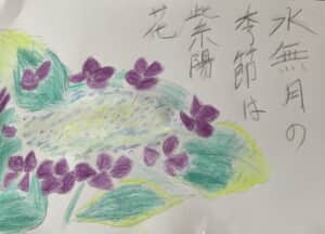 水無月の季節は紫陽花
