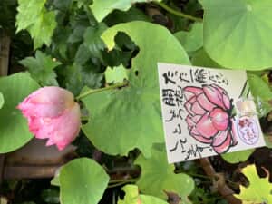 見守って来ださい。