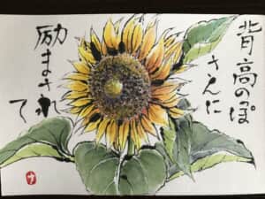 ひまわり