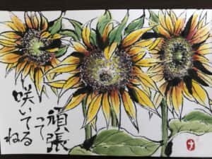 ひまわり