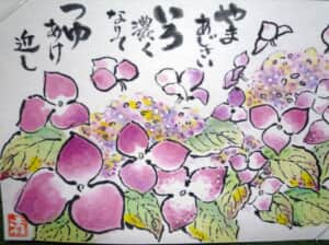 山紫陽花