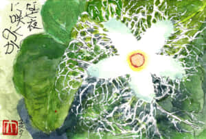 なぜ夜に咲くのか