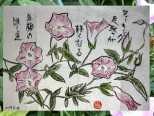 昼顔