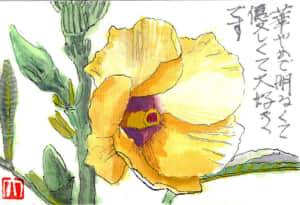 華やかで明るくて優しくて大好きな花です
