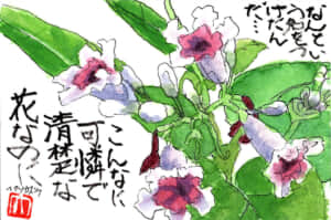 なんという名をつけたんだ…こんな可憐で清楚な花なのに