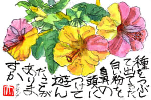 種をつぶして出て来た白い粉を花の頭につけて遊んだことがありますか