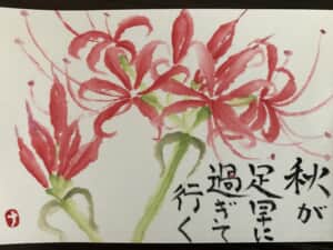 彼岸花