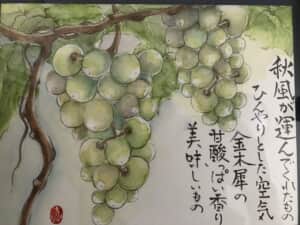 シャインマスカット