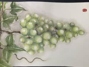 シャインマスカット