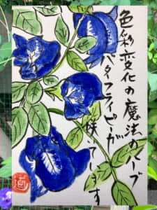 バターフライピー