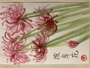 彼岸花咲いてるよ