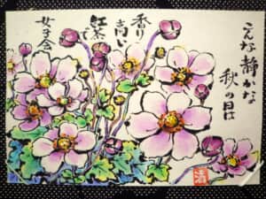 秋明菊