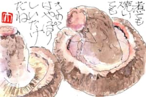 煮ても焼いてもきのこはやっぱりしいたけだね