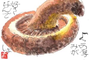 ♪この厚みが好きなんでしょ