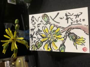 日向ぼっこは花も人も❗️