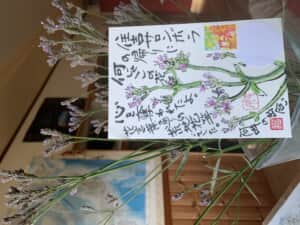 ナンジャこの草花❗️