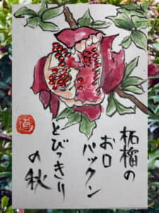 柘榴