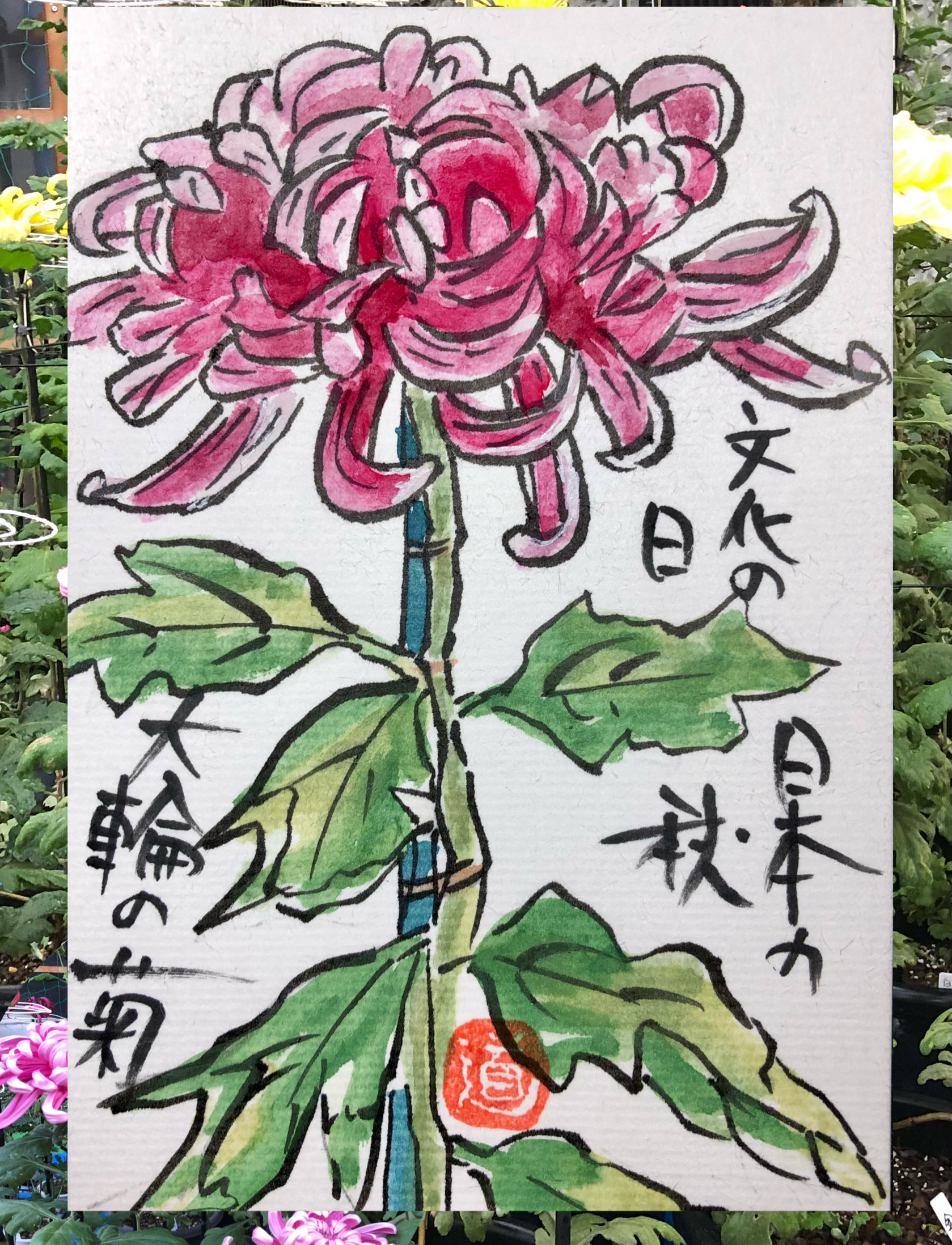 大輪の菊