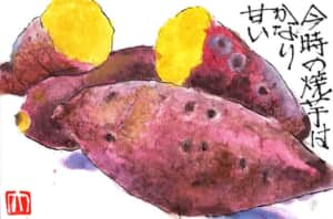 今時の焼き芋はかなり甘い