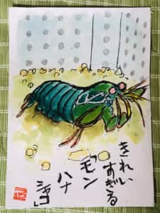 モンハナシャコ