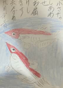 小さいな幸せ届けます 赤メダカ