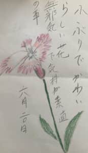 小ぶりで可愛いらしい花 無邪気で気持ちが素直の事
