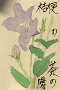 江戸千家お稽古，今日の茶の湯