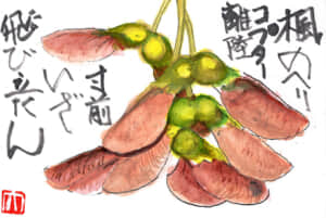 楓のヘリコプター離陸寸前いざ飛び立たん
