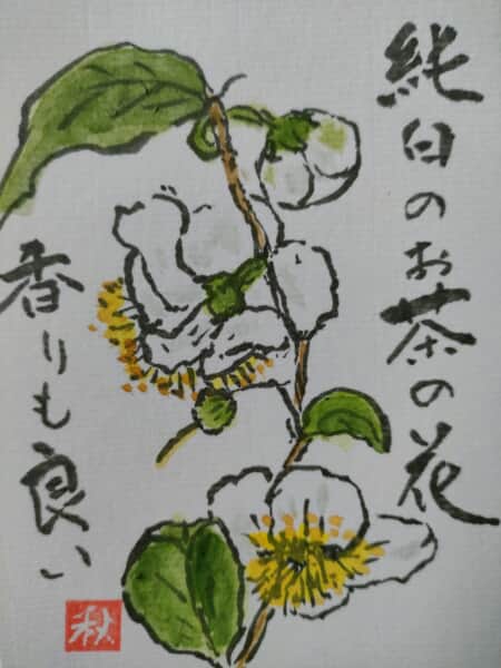 茶の花