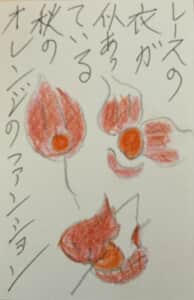 ほおずき レースの衣が似合っている