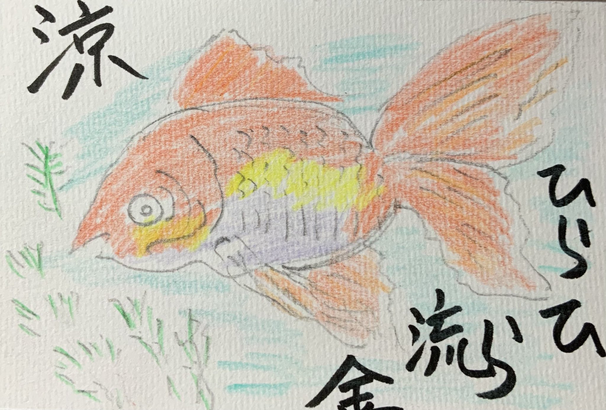 涼 ひらひら琉金