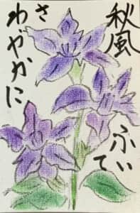 子を育てるヤブラン秋を迎える