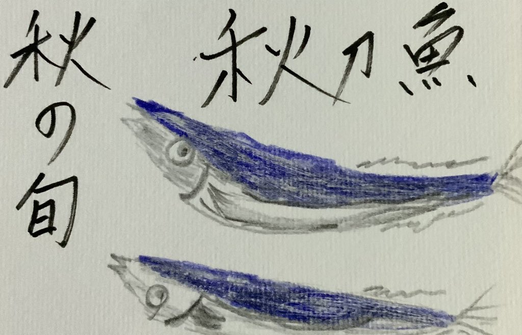 秋刀魚 秋の旬