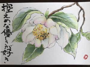 山茶花