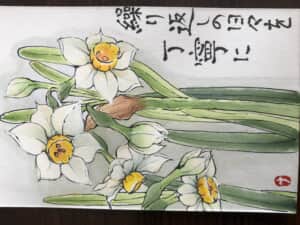 日本水仙
