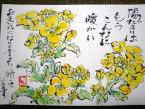 菜の花