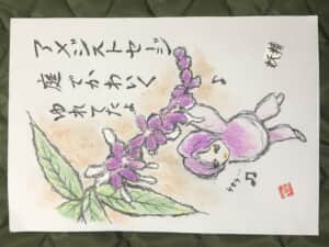 アメジストセージ