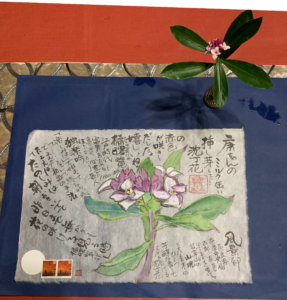お父さん挿し芽のお土産