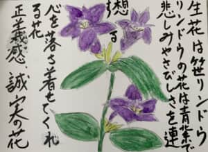 生花は笹リンドウ