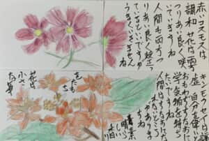 赤いコスモスは調和。花は両方つりあい良く咲いていますね。