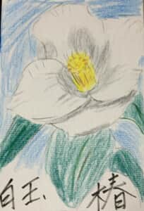 昨日の草月流教室の花