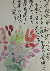 西洋の秘密のひととき、 クレオメは夕方に咲き