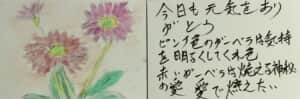 ガーベラ 今日も元気をありがとう