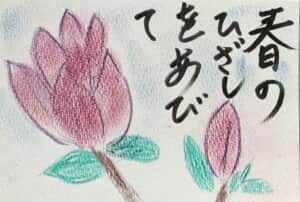 春の陽射しを浴びて木蓮