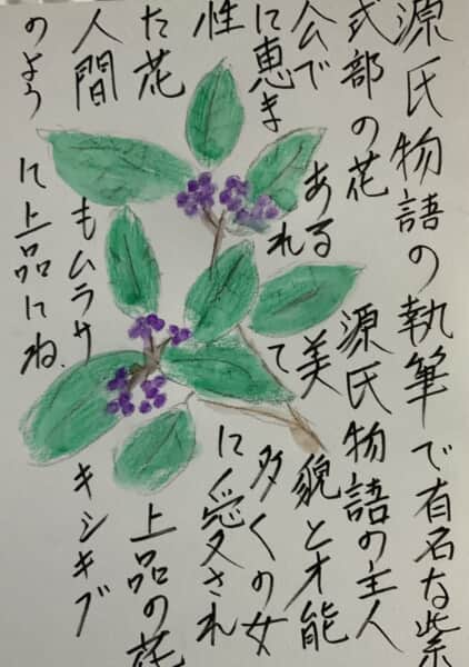 源氏物語で有名な紫式部の花