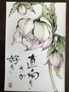 クリスマスローズ