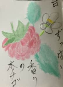 甘酸っぱい香りの木苺